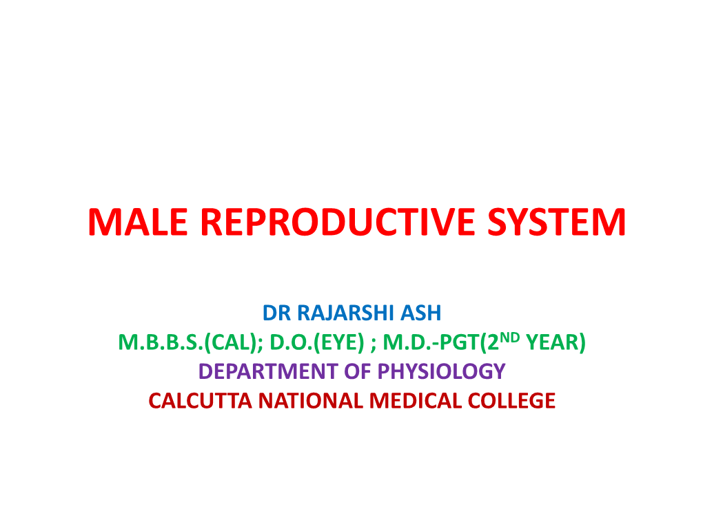 Male Reproductive System