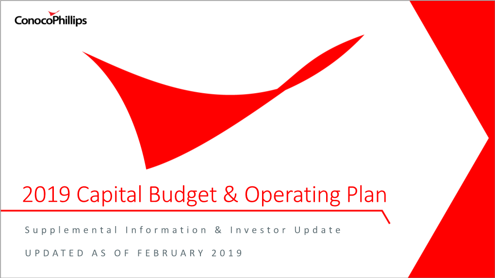 2019 Capital Budget & Operating Plan