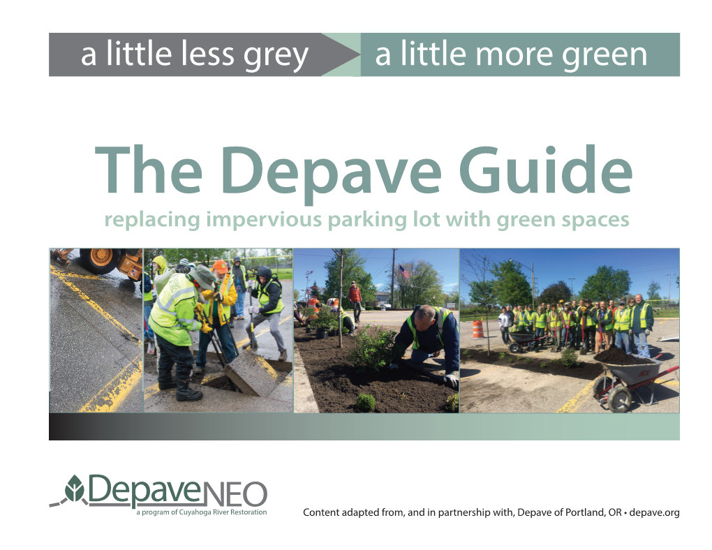 Depave Guide Replacing Impervious Parking Lot with Green Spaces