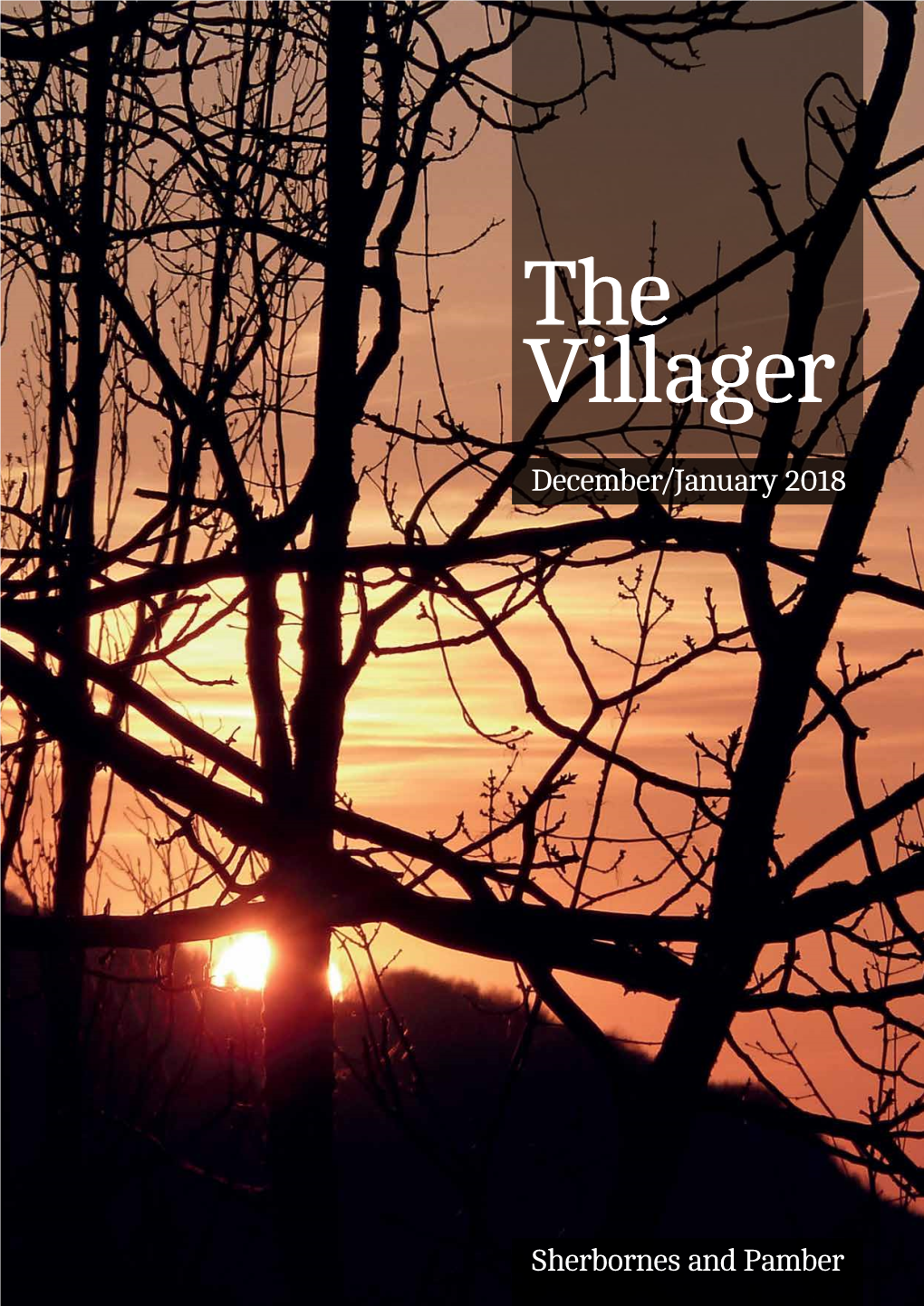 The Villager