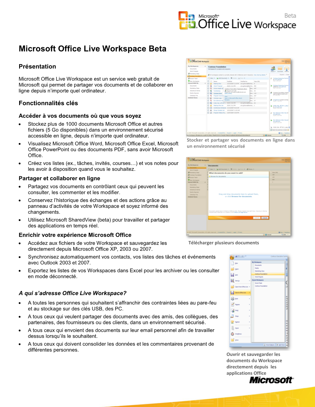 Microsoft Office Live Workspace Beta
