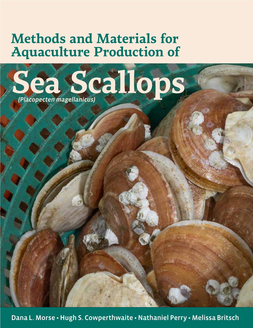 Methods and Materials for Aquaculture Production of Sea Scallops (Placopecten Magellanicus)
