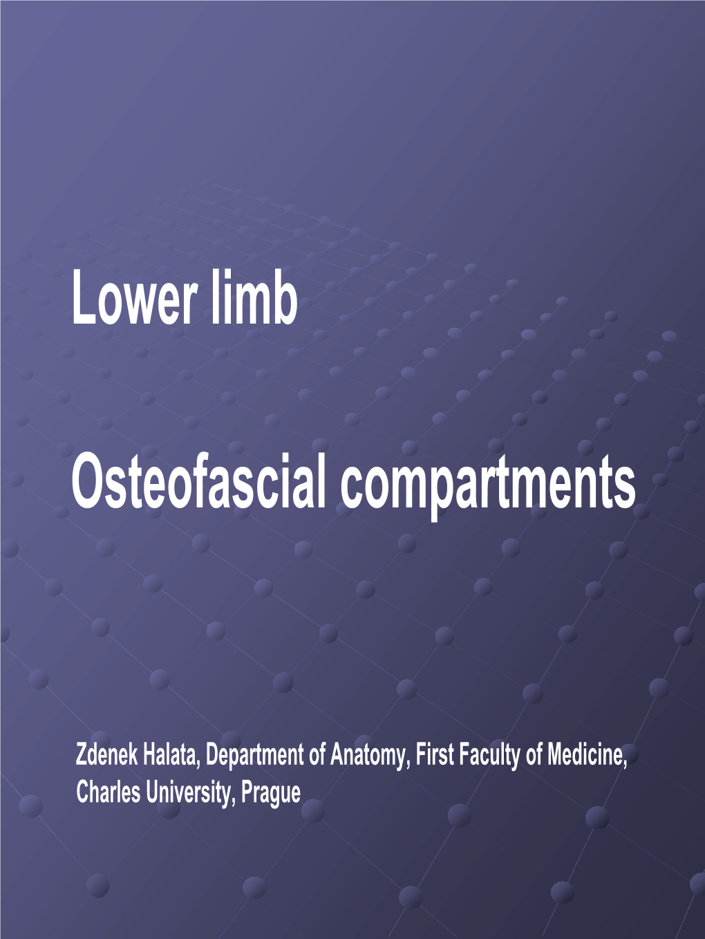 Lower Limb Osteofascial Compartments