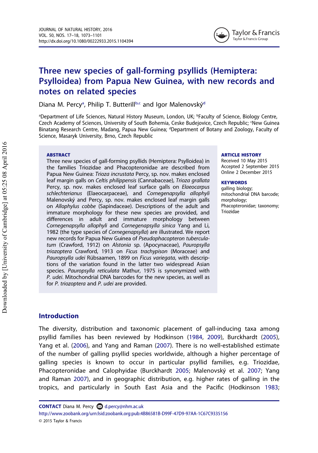 (Hemiptera: Psylloidea) from Papua New Guinea, with New Records and Notes on Related Species Diana M