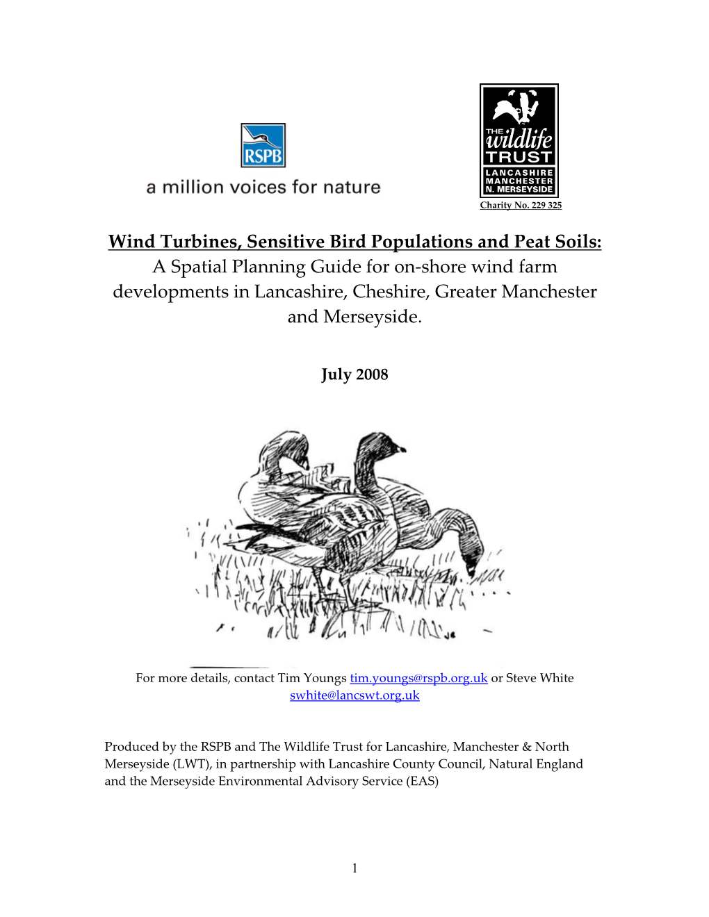 Wind Turbines, Sensitive Bird Populations and Peat Soils