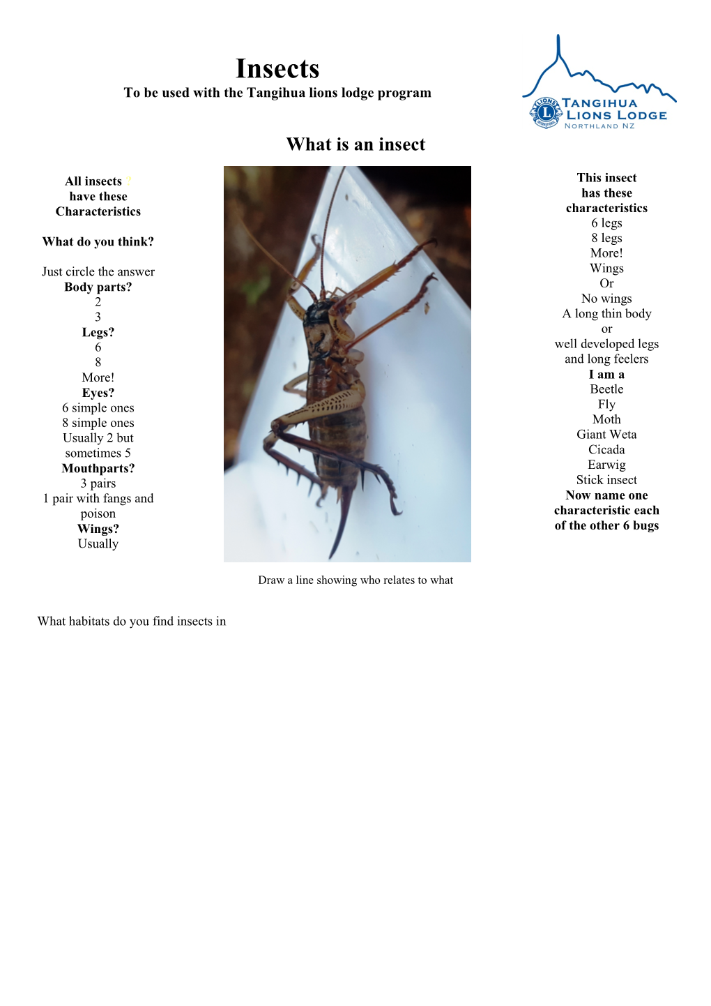 Weta Sometimes 5 Cicada Mouthparts? Earwig 3 Pairs Stick Insect 1 Pair with Fangs and Now Name One Poison Characteristic Each Wings? of the Other 6 Bugs Usually
