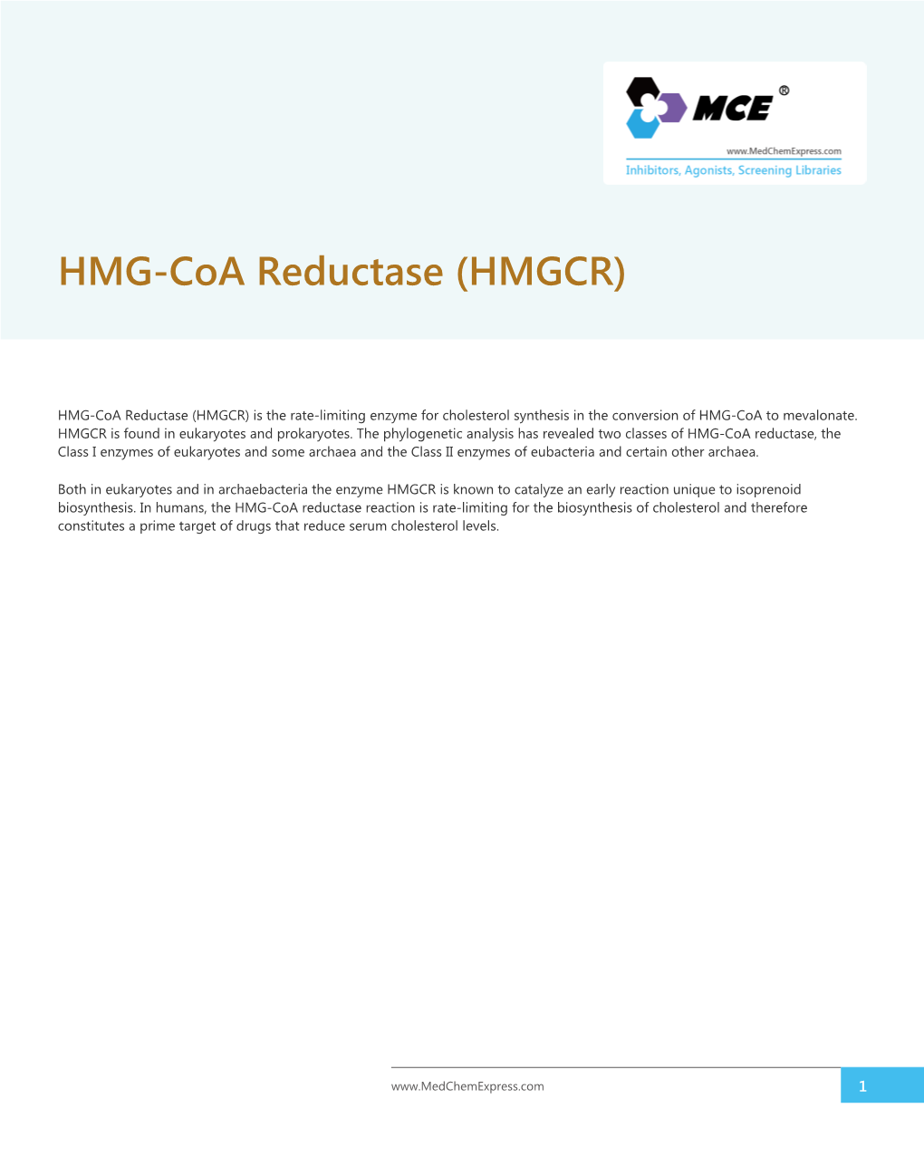 HMG-Coa Reductase (HMGCR)