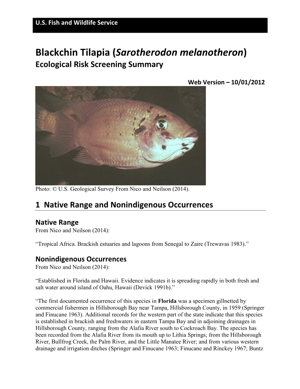 Blackchin Tilapia (Sarotherodon Melanotheron) Ecological Risk Screening Summary