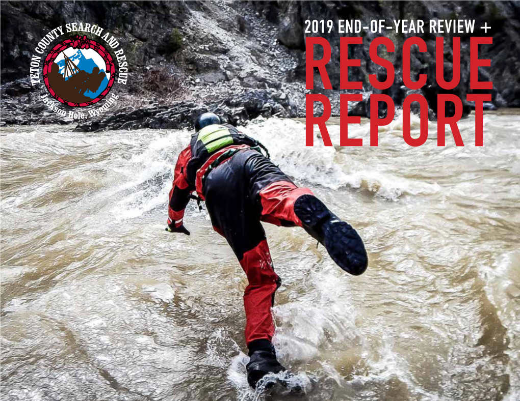 2019 End-Of-Year Review + Rescue Report