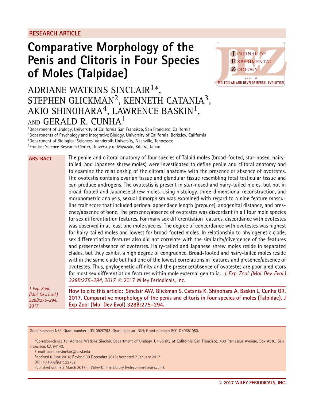 Comparative Morphology of the Penis and Clitoris in Four Species of Moles