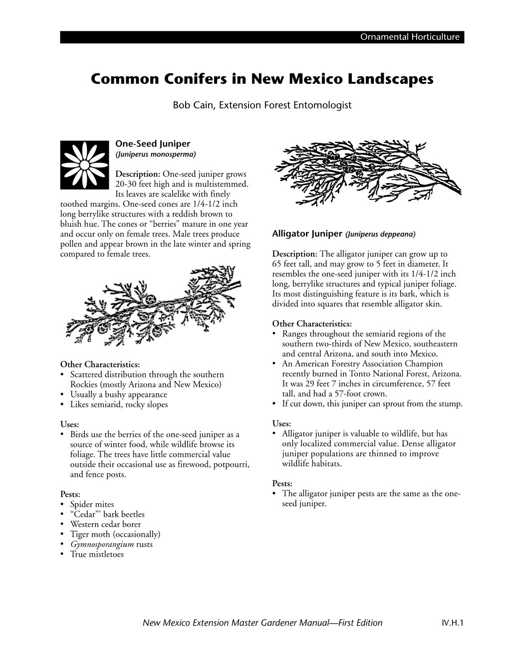 Common Conifers in New Mexico Landscapes