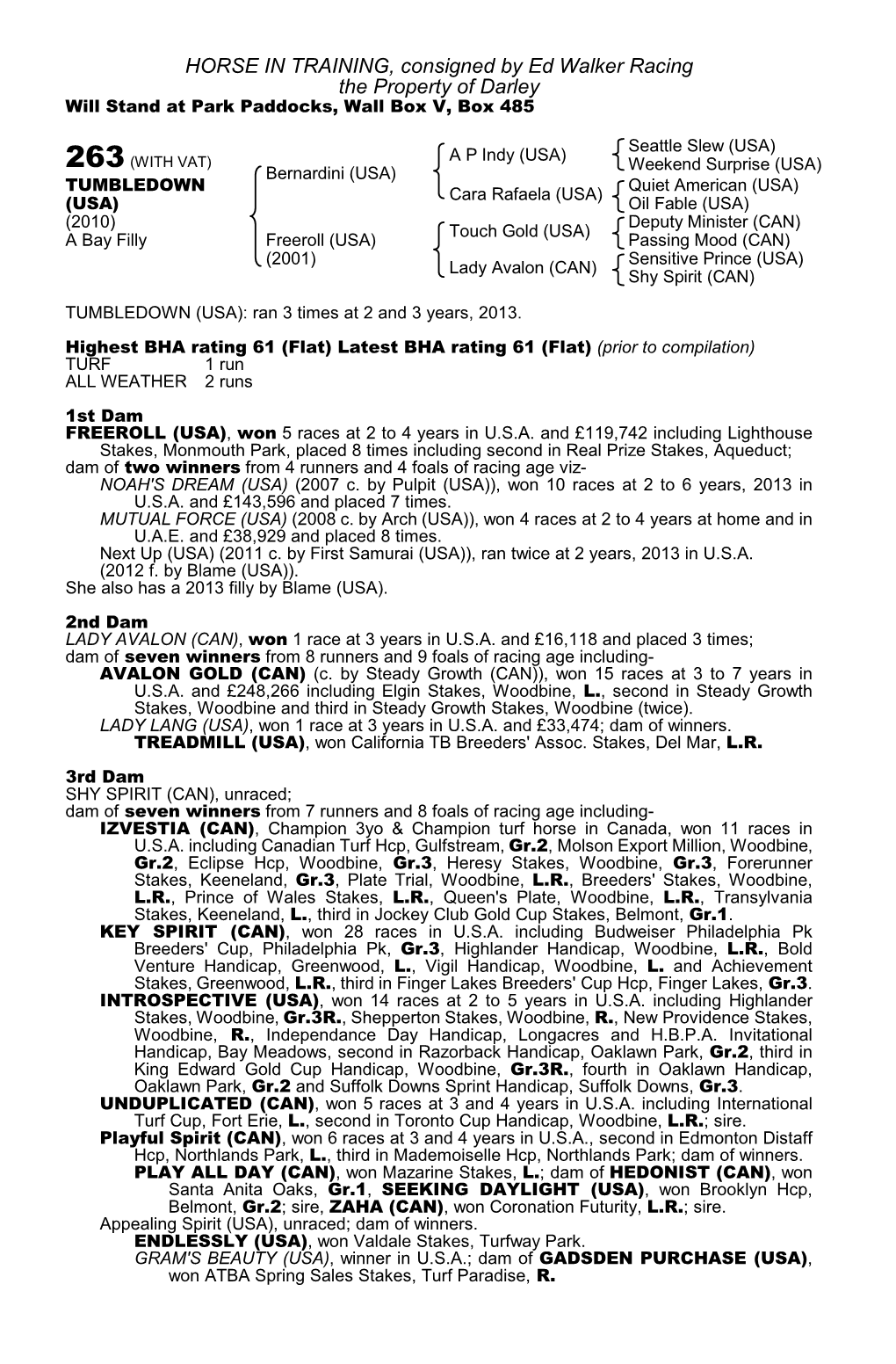 HORSE in TRAINING, Consigned by Ed Walker Racing the Property of Darley Will Stand at Park Paddocks, Wall Box V, Box 485