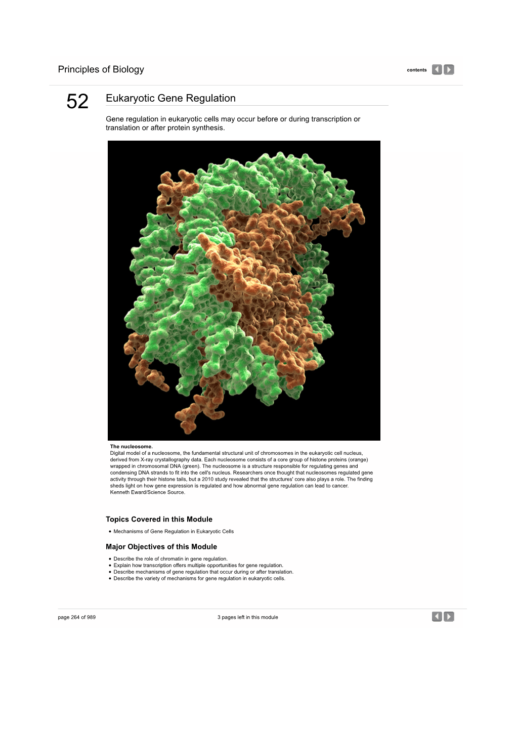 Eukaryotic Gene Regulation | Principles of Biology from Nature Education