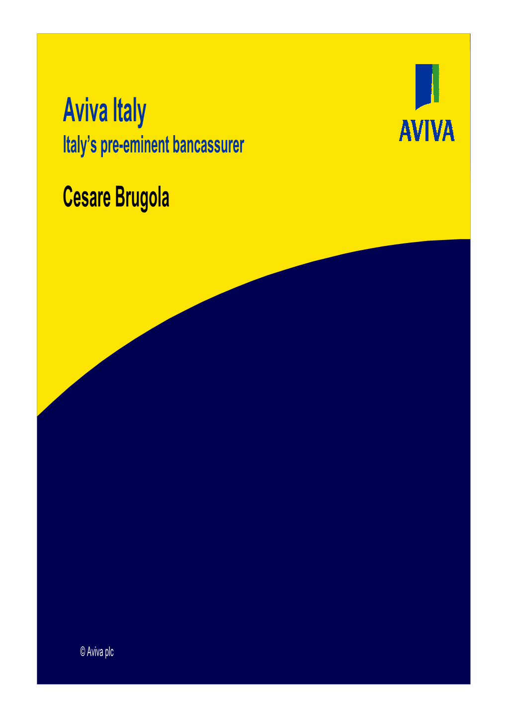 Aviva Italy Presentation 2004