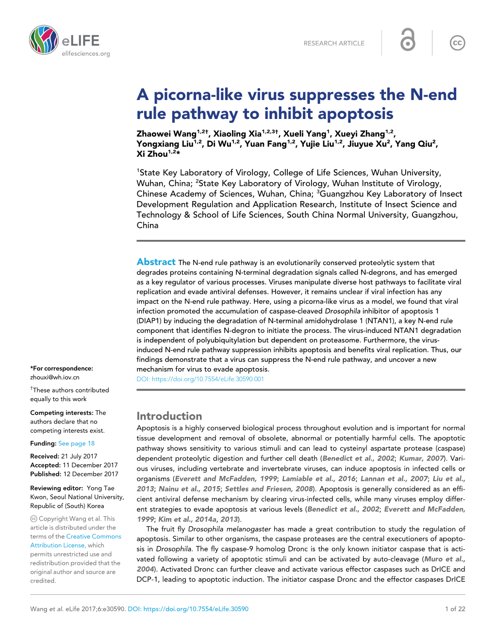 A Picorna-Like Virus Suppresses the N-End Rule Pathway to Inhibit Apoptosis