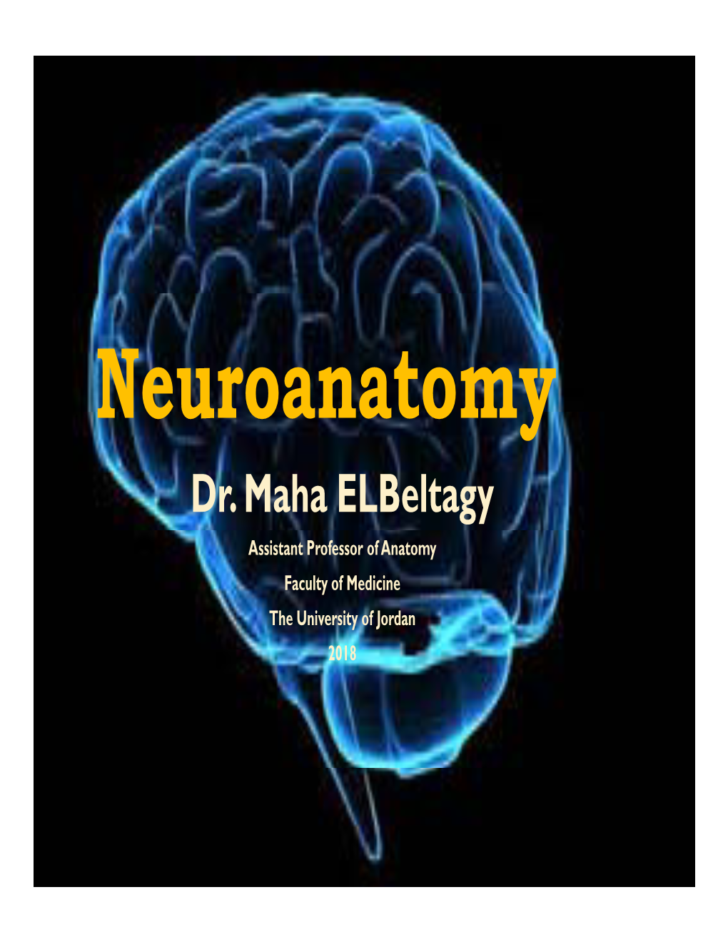 Brain Fibers and Basal Ganglia