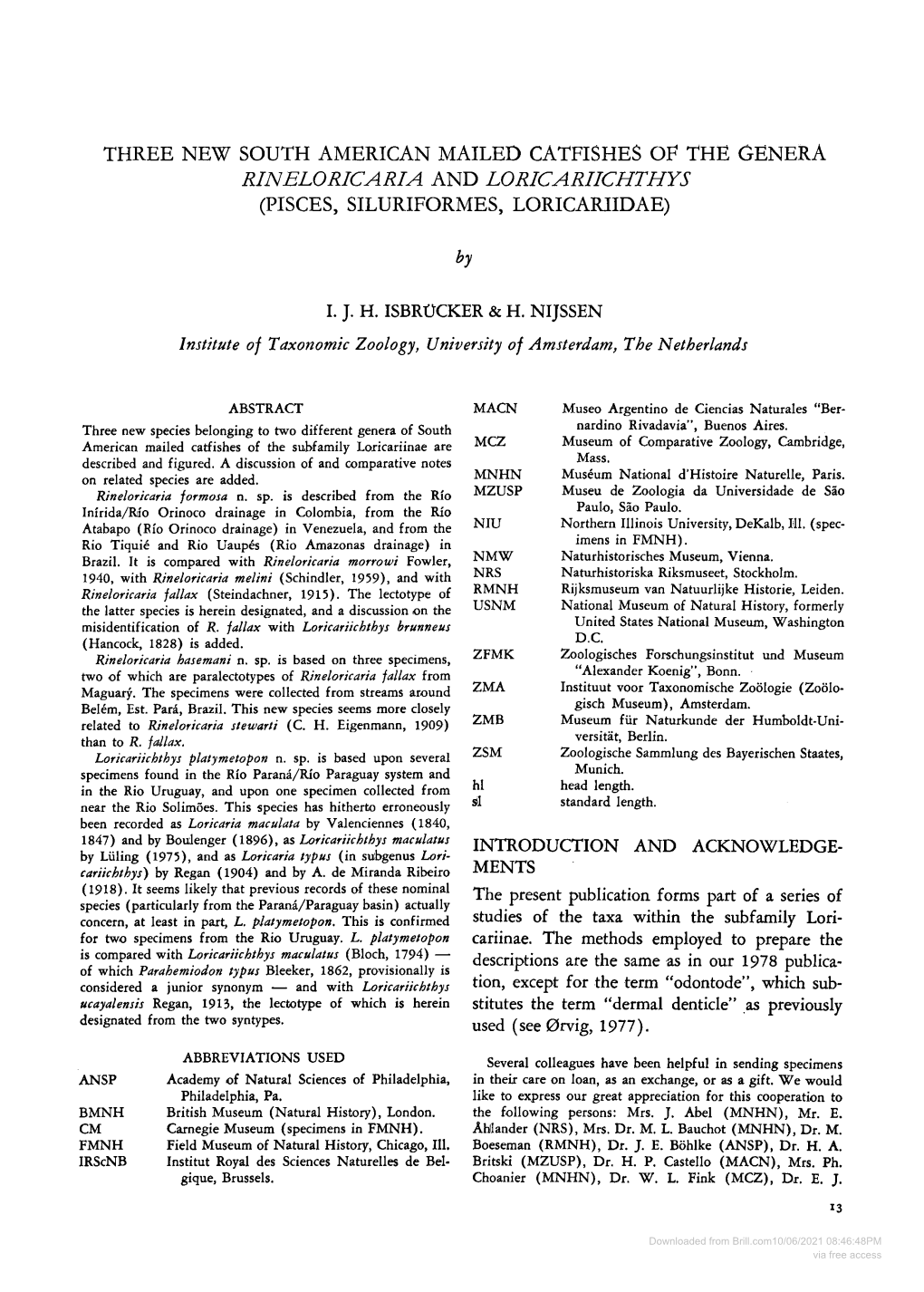 Three New South American Mailed Catfishes of the Genera Rineloricaria and Loricariichthys (Pisces, Siluriformes, Loricariide)