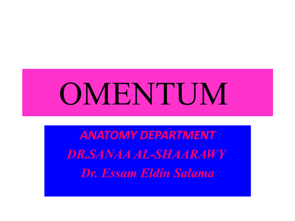 7) Anatomy of OMENTUM