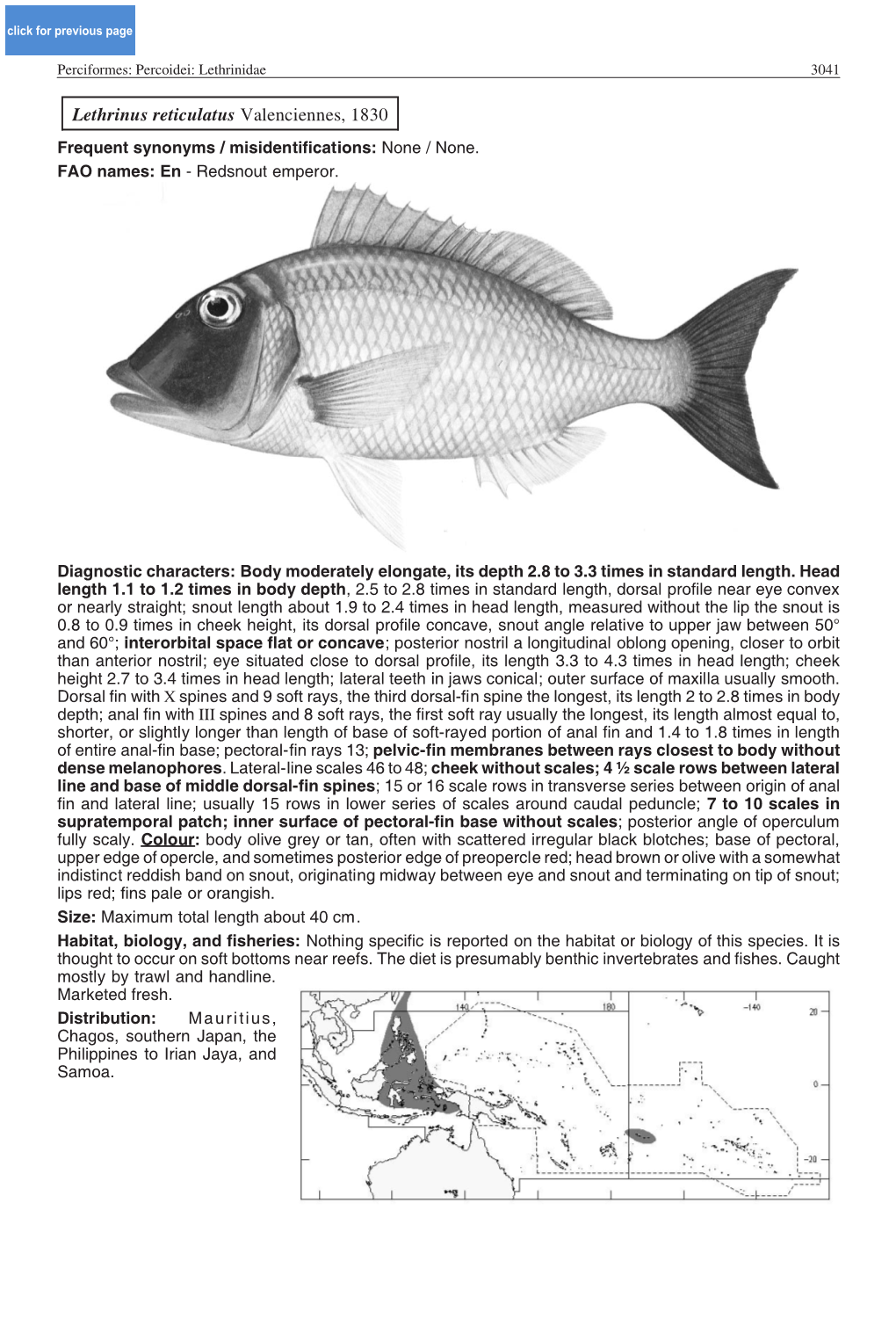 Lethrinus Reticulatus Valenciennes, 1830 Frequent Synonyms / Misidentifications: None / None