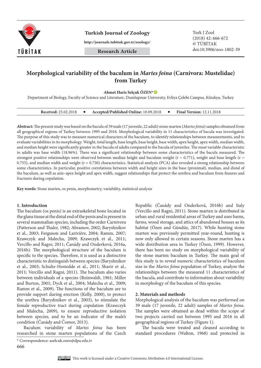 Morphological Variability of the Baculum in Martes Foina (Carnivora: Mustelidae) from Turkey