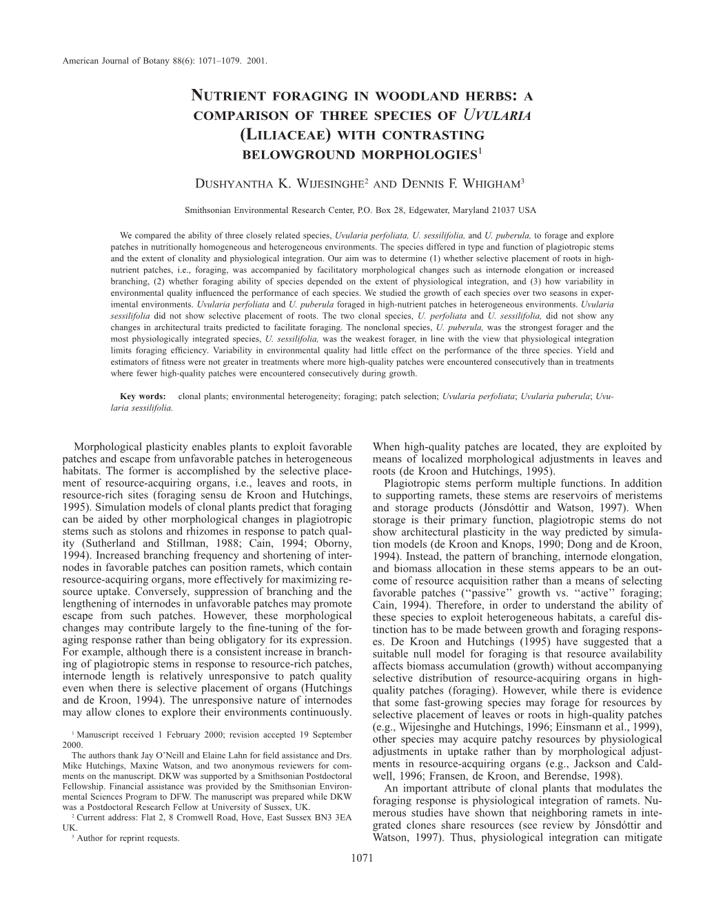 Nutrient Foraging in Woodland Herbs: a Comparison of Three Species of Uvularia (Liliaceae) with Contrasting Belowground Morphologies1