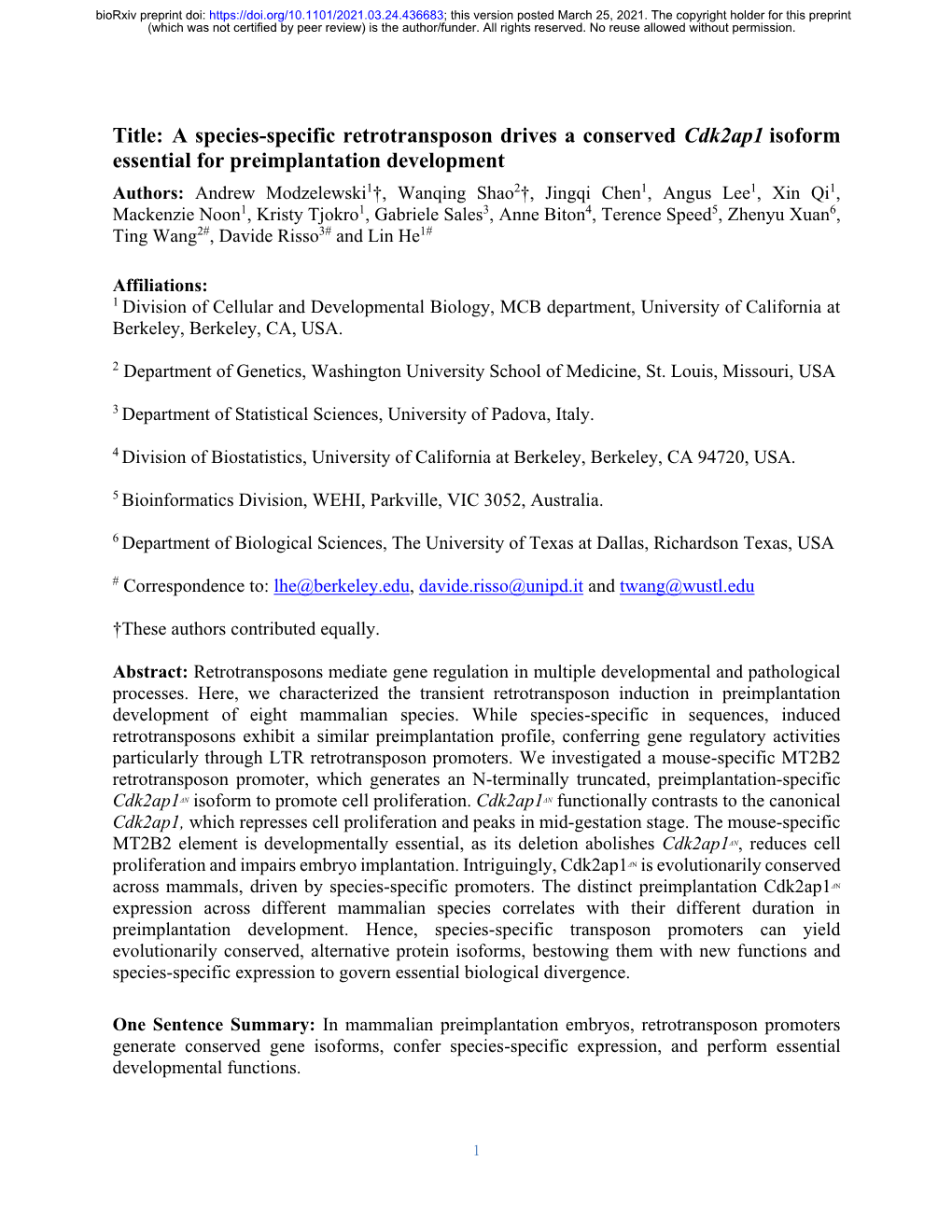 A Species-Specific Retrotransposon Drives a Conserved Cdk2ap1 Isoform Essential for Preimplantation Development