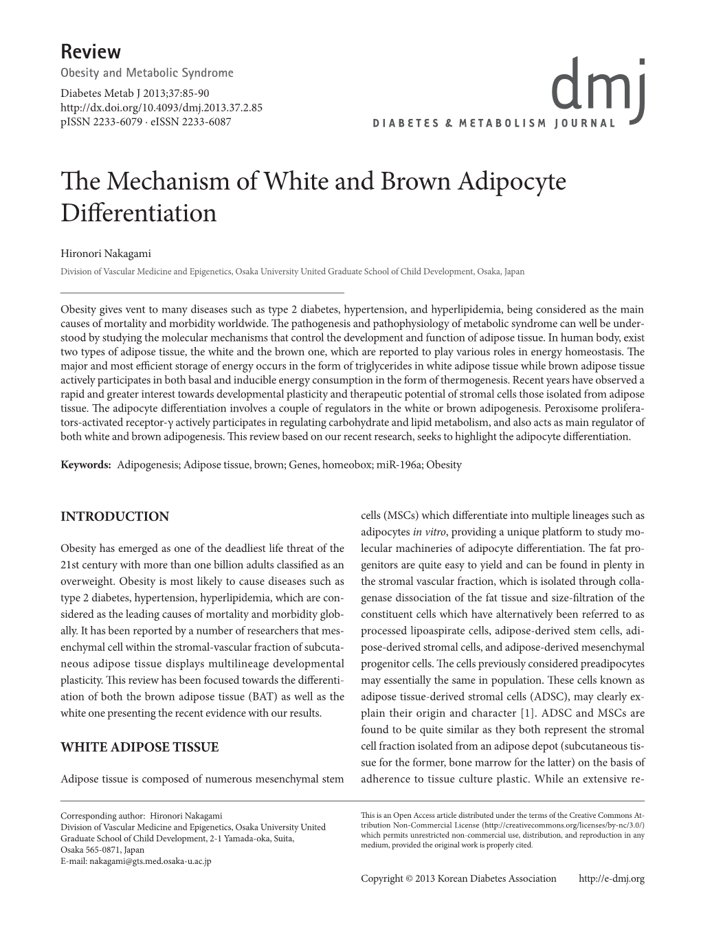 The Mechanism of White and Brown Adipocyte Differentiation