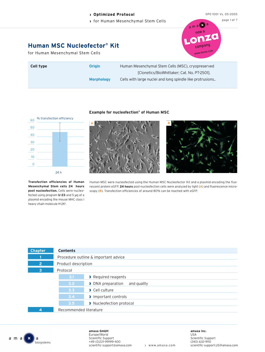 Optimized Protocol for Human Mesenchymal Stem Cells