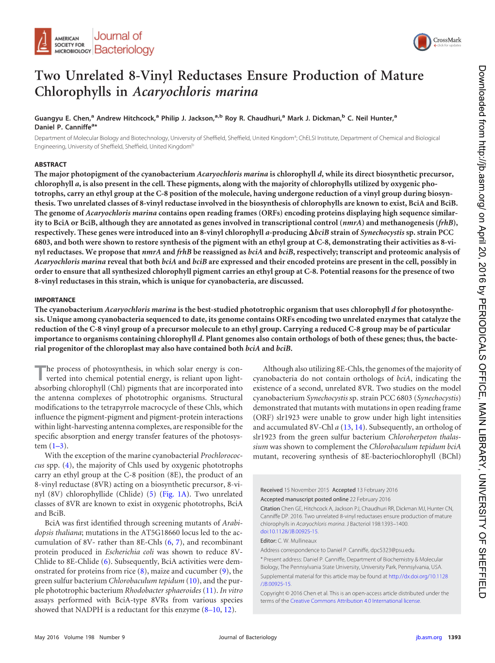 Two Unrelated 8-Vinyl Reductases Ensure Production of Mature Chlorophylls in Acaryochloris Marina