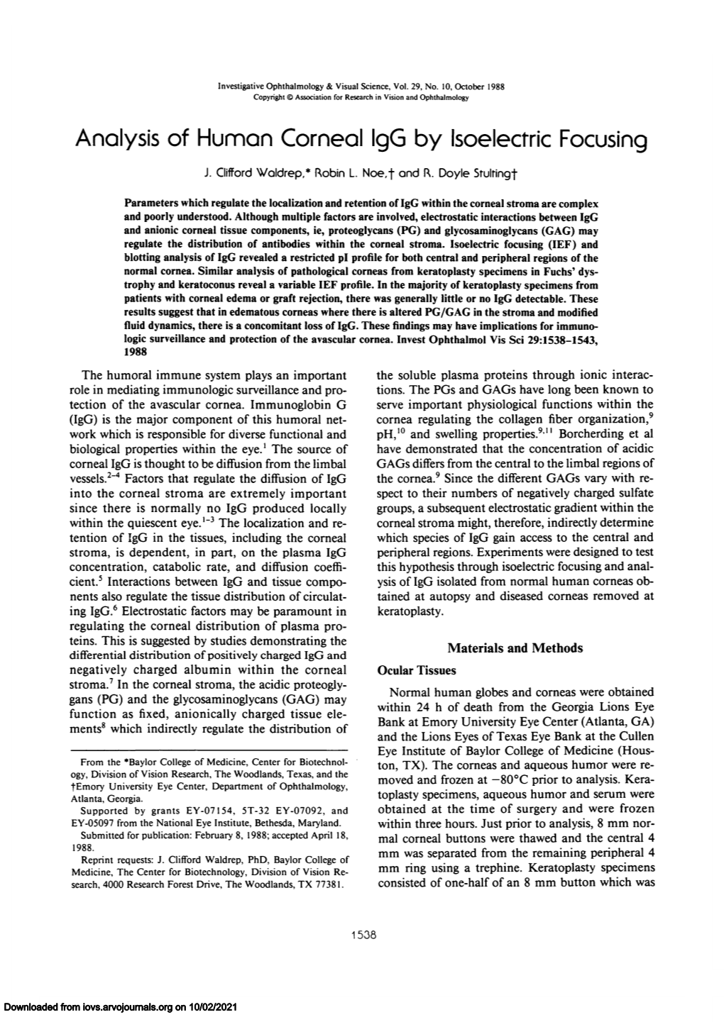 Analysis of Human Corneal Igg by Isoelectric Focusing