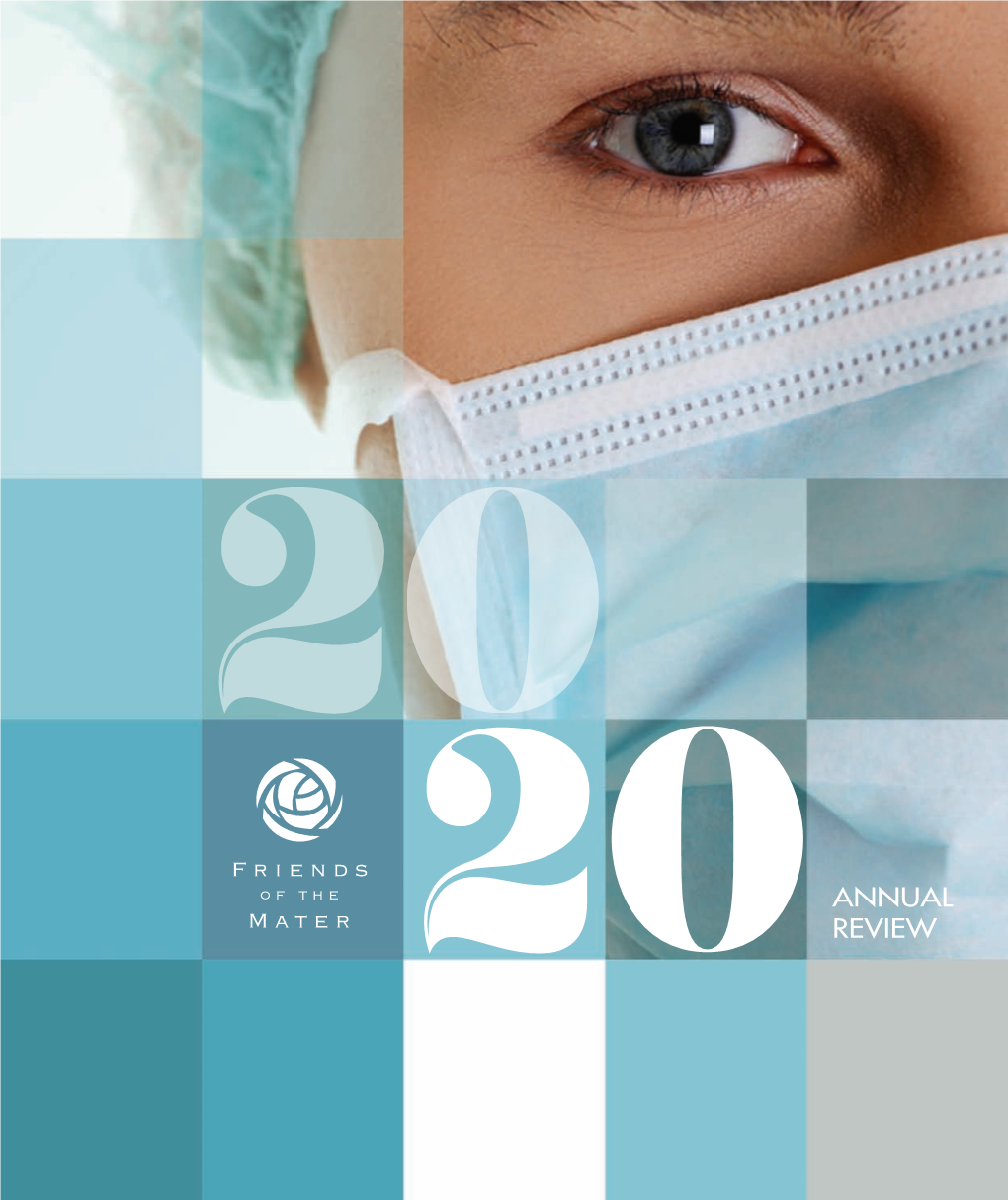 Annual Review 2020