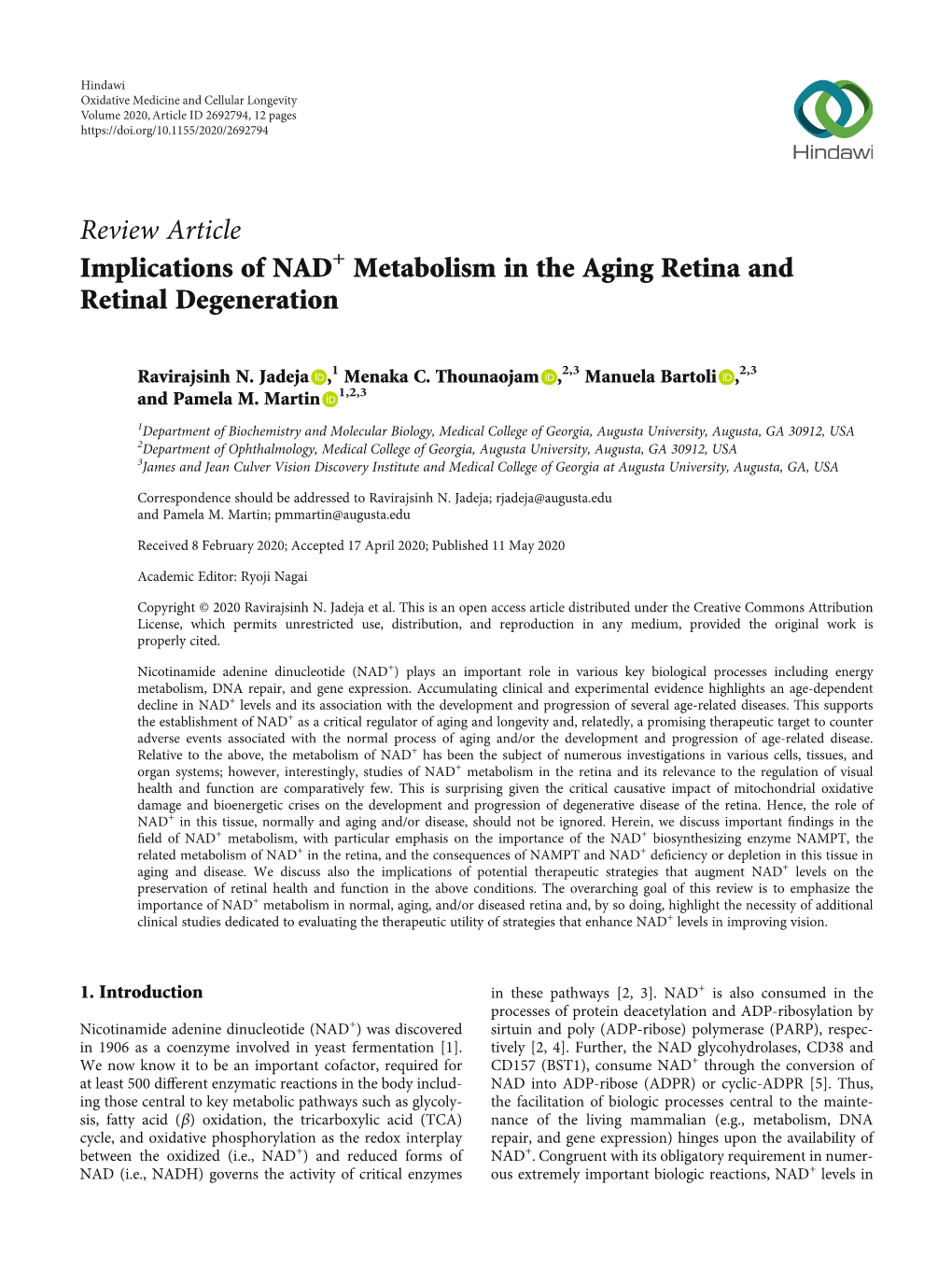 Metabolism in the Aging Retina and Retinal Degeneration