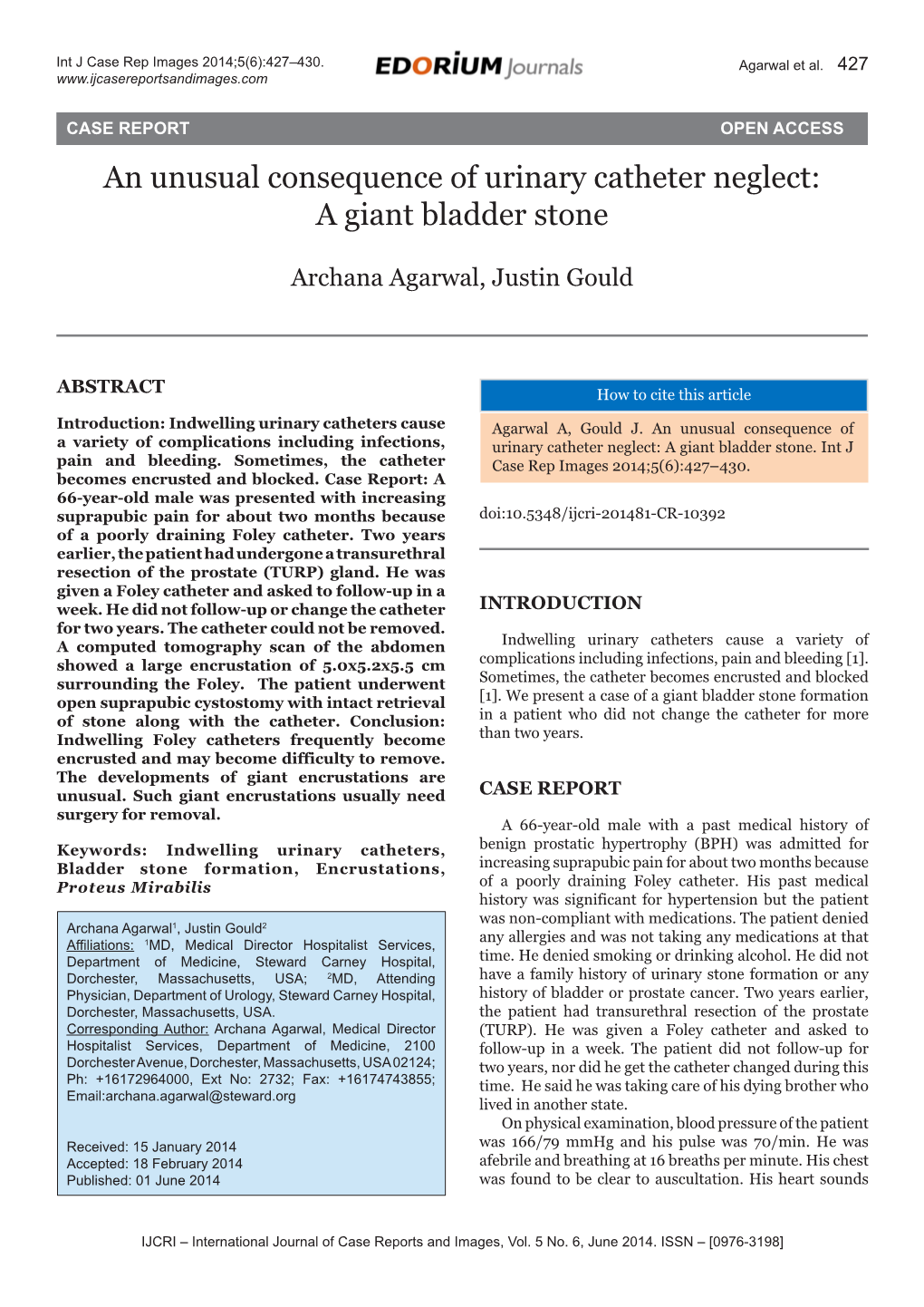 An Unusual Consequence of Urinary Catheter Neglect: a Giant Bladder Stone