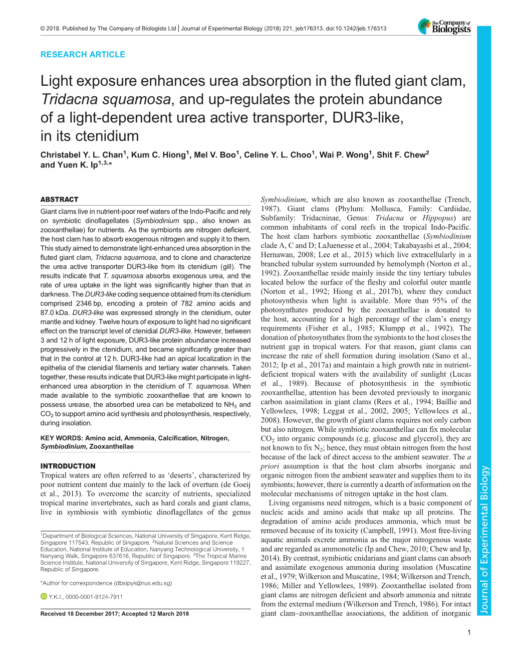 Light Exposure Enhances Urea Absorption in the Fluted Giant Clam