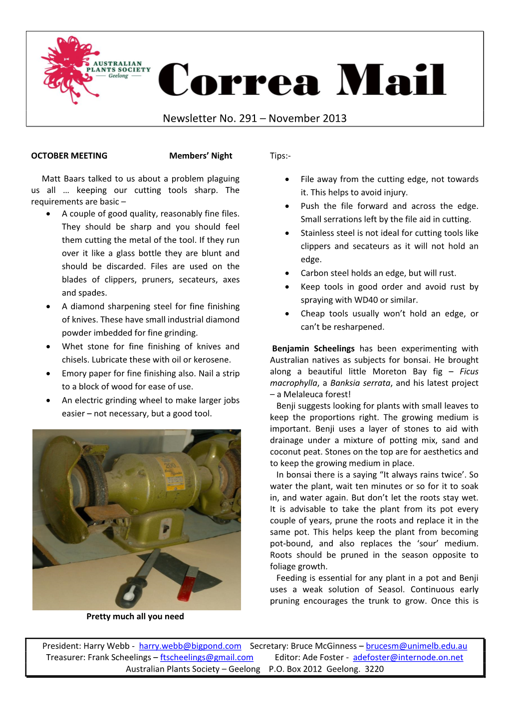 Newsletter No. 291 – November 2013