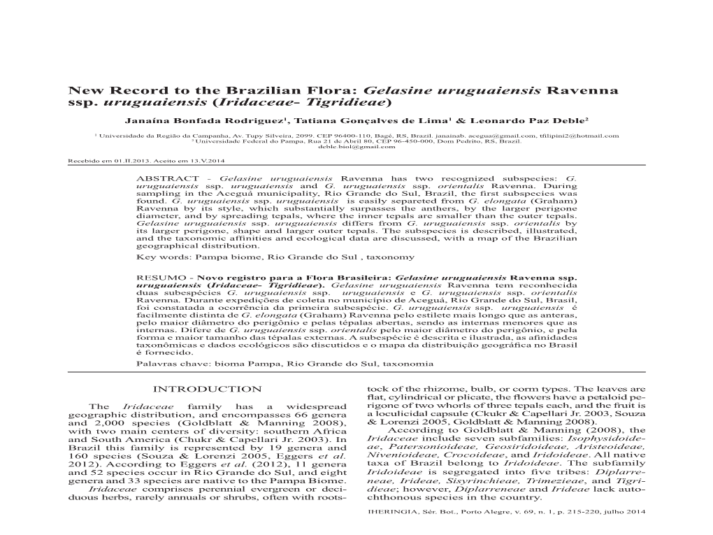 Gelasine Uruguaiensis Ravenna Ssp. Uruguaiensis (Iridaceae- Tigridieae)
