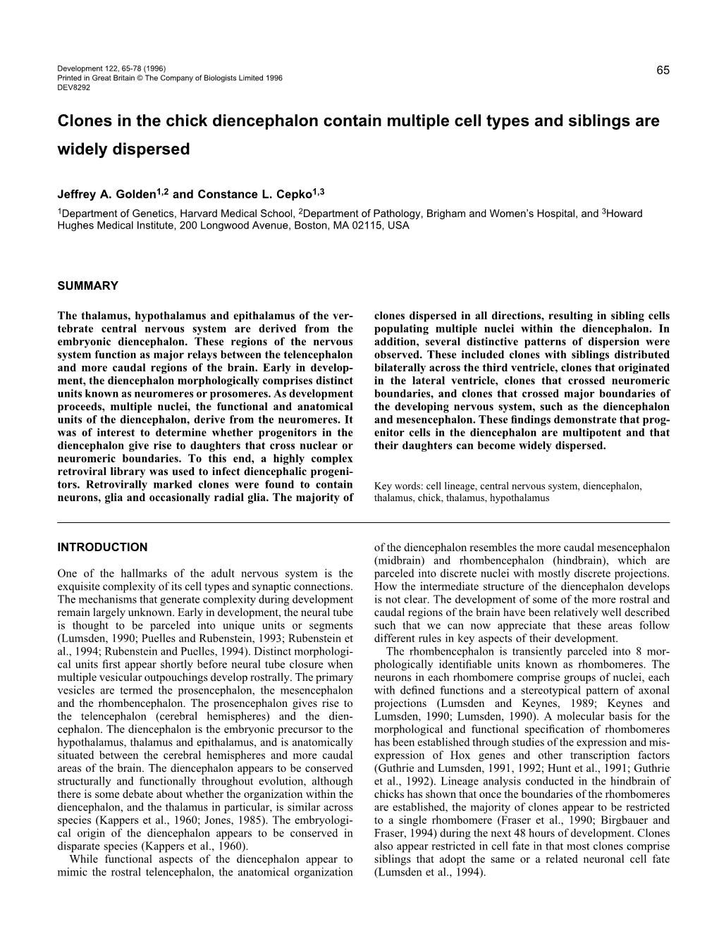 Clones in the Chick Diencephalon Contain Multiple Cell Types and Siblings Are Widely Dispersed