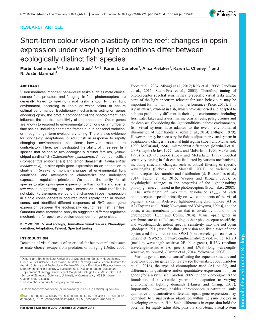 Changes in Opsin Expression Under Varying Light Conditions Differ Between Ecologically Distinct Fish Species Martin Luehrmann1,*,‡, Sara M