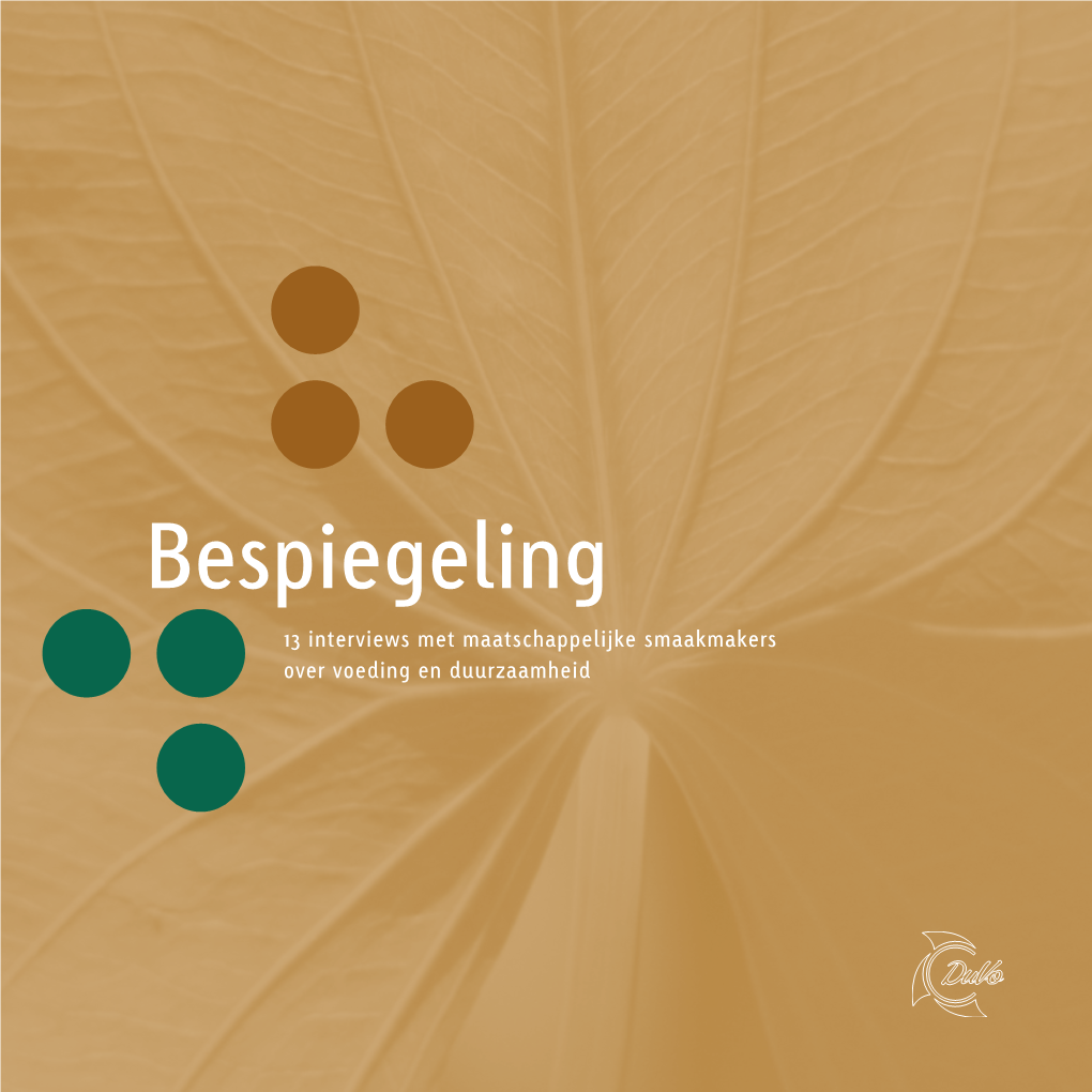 Bespiegeling