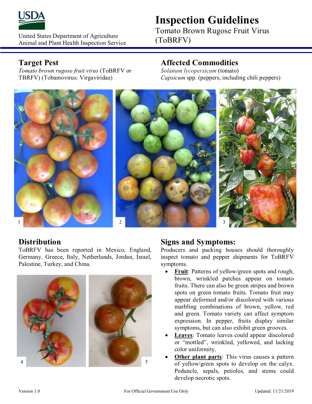 Inspection Guidelines Tomato Brown Rugose Fruit Virus United States Department of Agriculture Animal and Plant Health Inspection Service (Tobrfv)