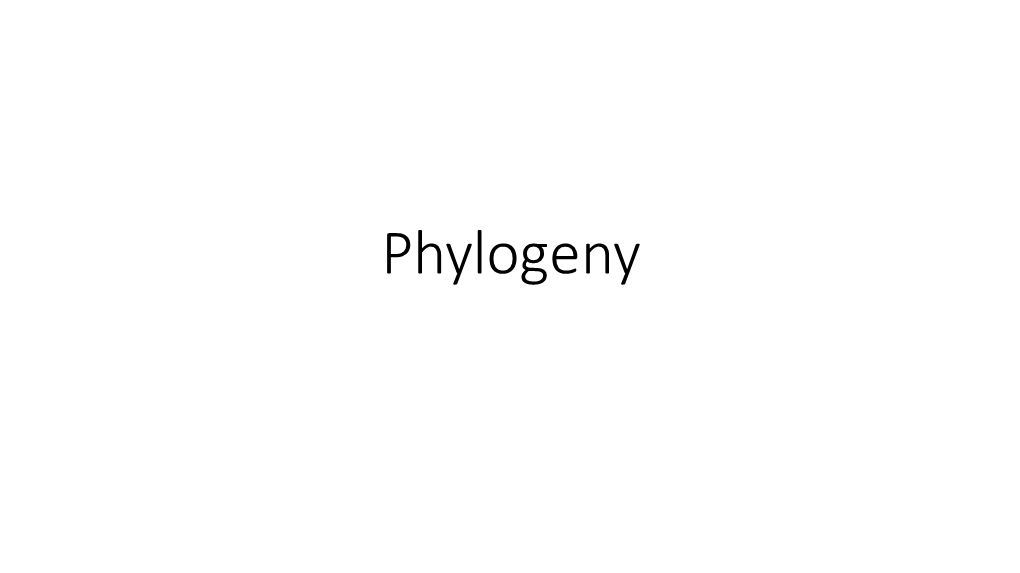 Phylogeny Codon Models • Last Lecture: Poor Man’S Way of Calculating Dn/Ds (Ka/Ks) • Tabulate Synonymous/Non-Synonymous Substitutions • Normalize by the Possibilities