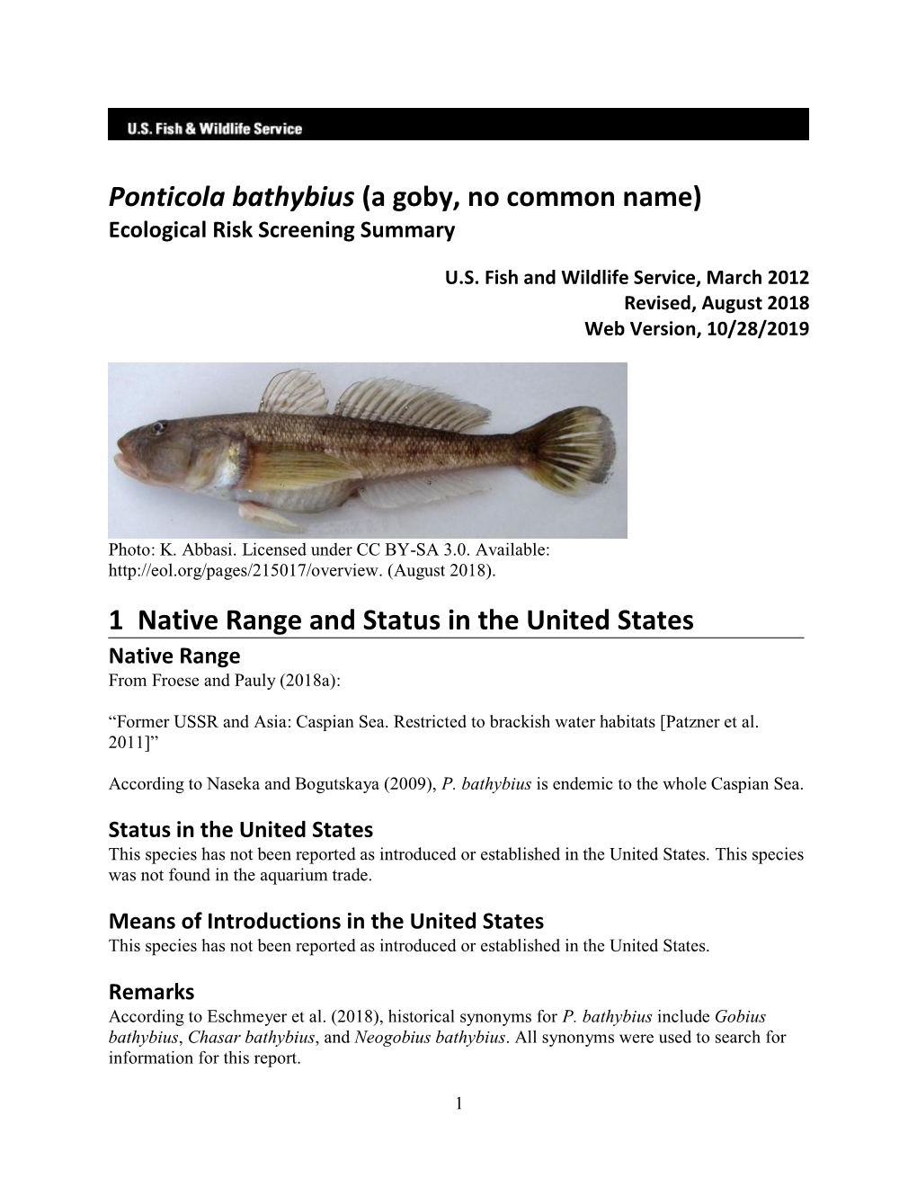 Ponticola Bathybius (A Goby, No Common Name) Ecological Risk Screening Summary