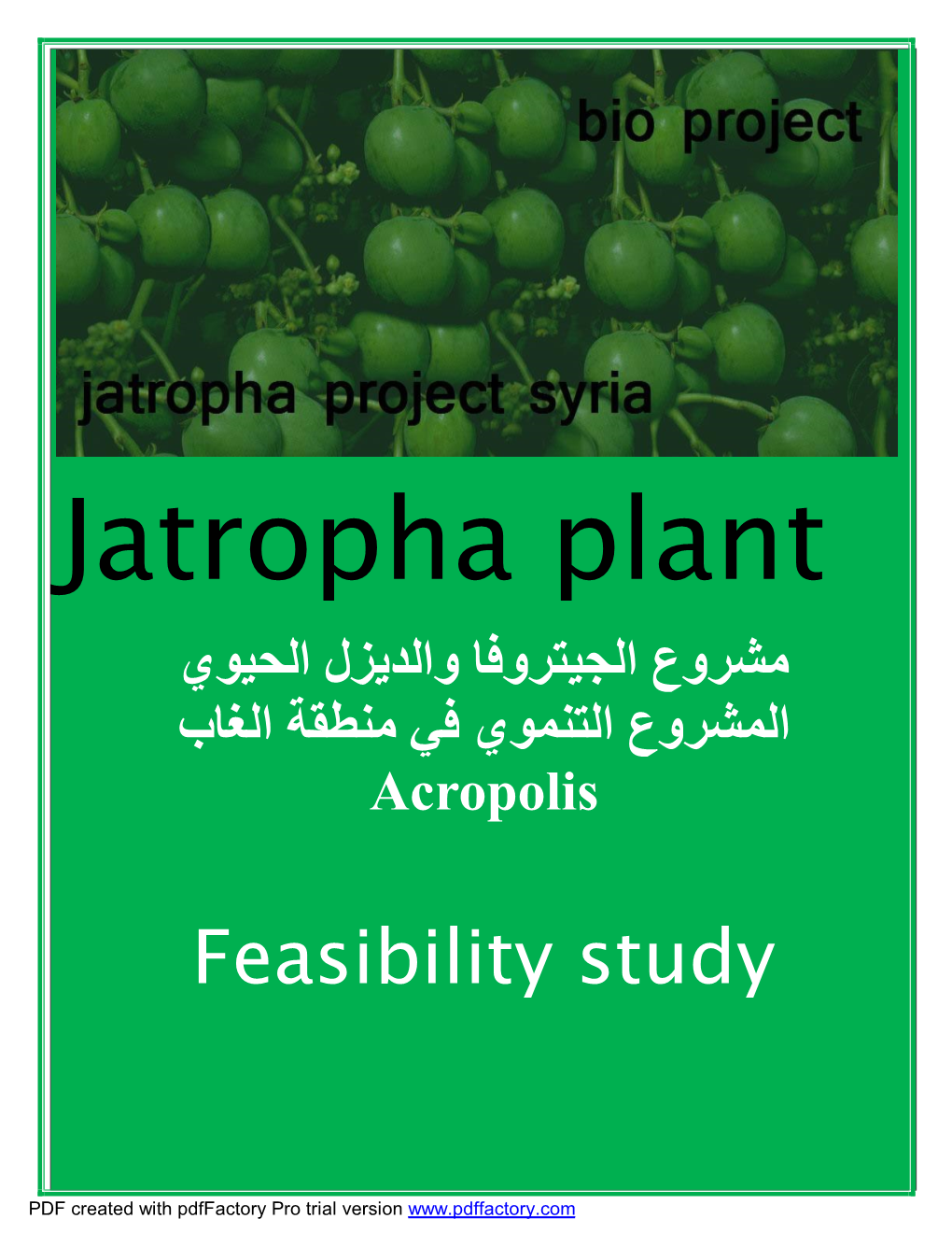Jatropha Plant ﻣﺸﺮوع اﻟﺠﯿﺘﺮوﻓﺎ واﻟﺪﯾﺰل اﻟﺤﯿﻮي اﻟﻤﺸﺮوع اﻟﺘﻨﻤﻮي ﻓﻲ ﻣﻨﻄﻘﺔ اﻟﻐﺎب Acropolis
