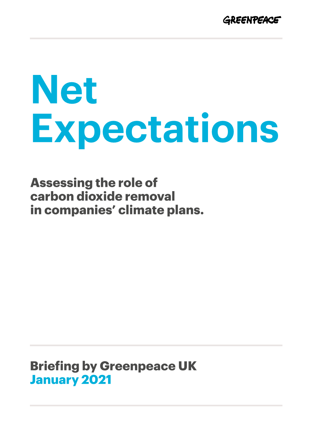 Assessing the Role of Carbon Dioxide Removal in Companies' Climate