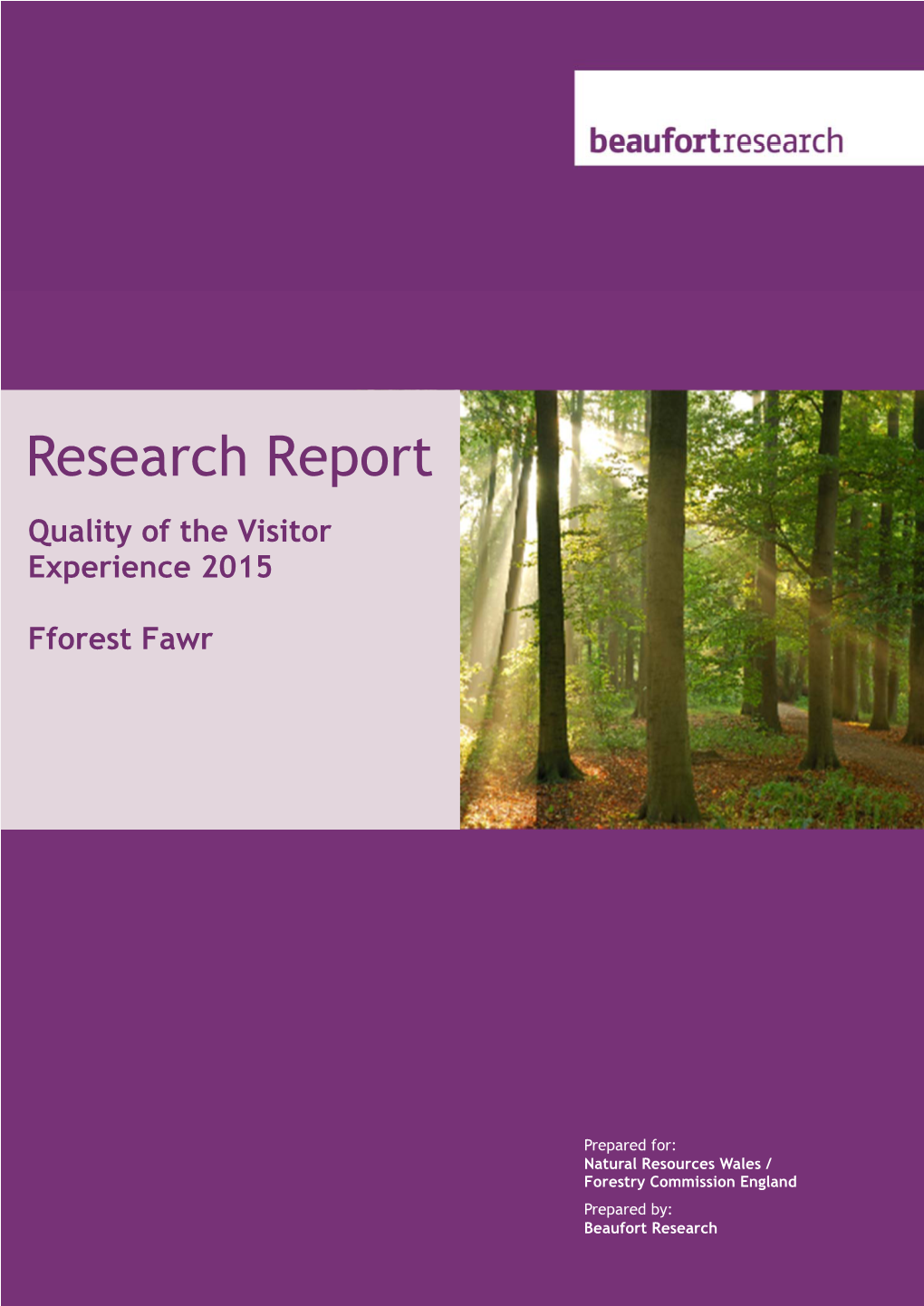 Fforest Fawr