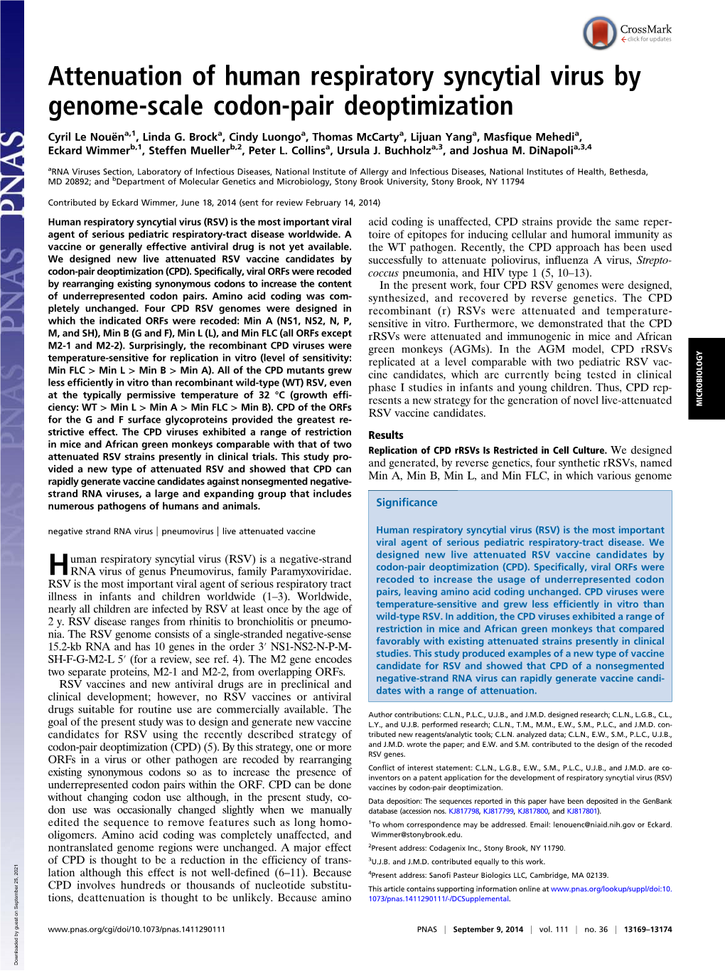 Attenuation of Human Respiratory Syncytial Virus by Genome-Scale Codon-Pair Deoptimization