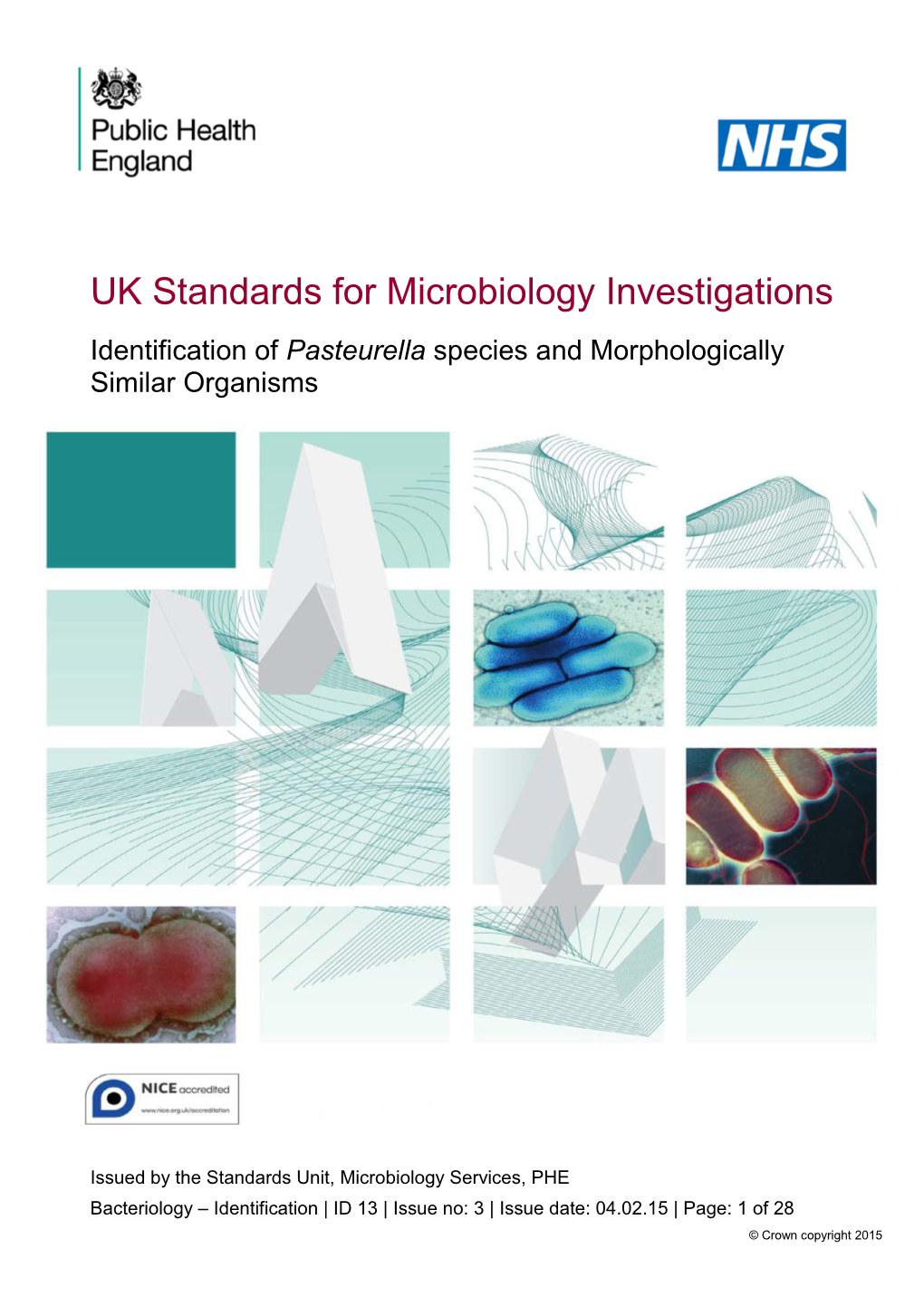 Identification of Pasteurella Species and Morphologically Similar Organisms