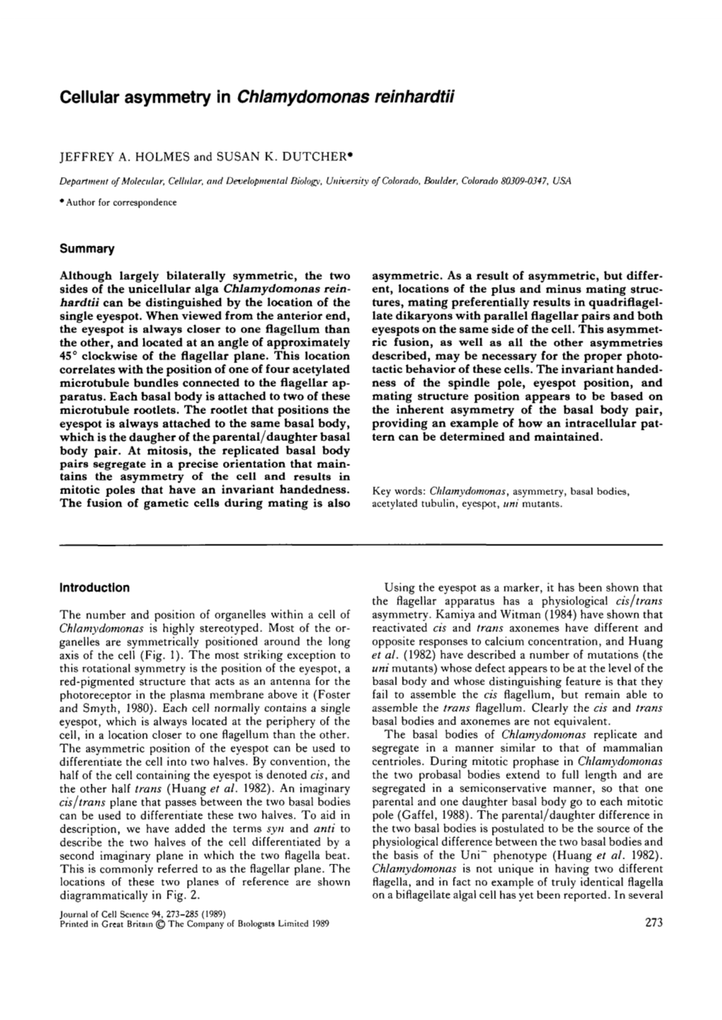 Cellular Asymmetry in Chlamydomonas Reinhardtii