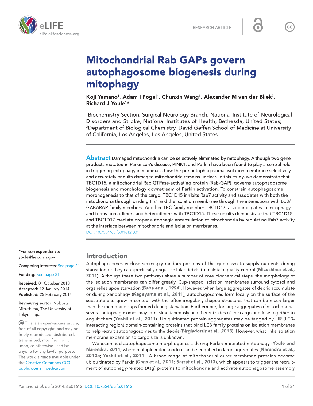 Mitochondrial Rab Gaps Govern Autophagosome Biogenesis During Mitophagy Koji Yamano1, Adam I Fogel1, Chunxin Wang1, Alexander M Van Der Bliek2, Richard J Youle1*