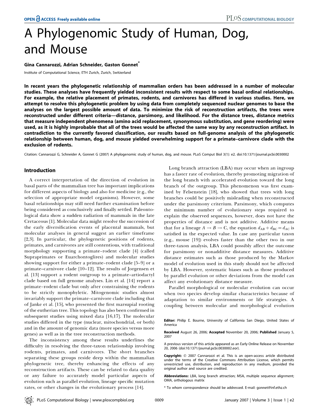 A Phylogenomic Study of Human, Dog, and Mouse